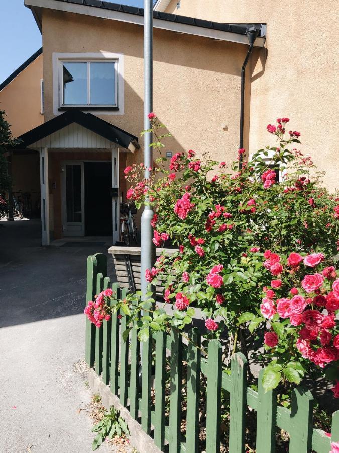 Hostel Birkagatan Vandrarhem Visby Zewnętrze zdjęcie
